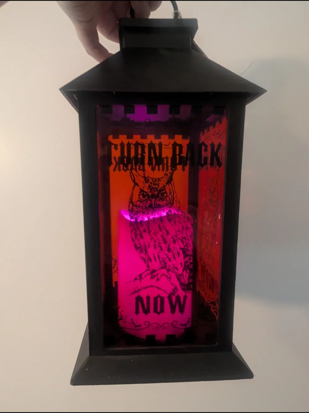 Harry Potter Hedwig Halloween Lantern Color Changing Light Candle, Turn Back Now